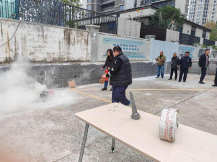 1732267257205847.png image.png